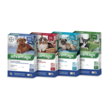 Advantage Para Perros