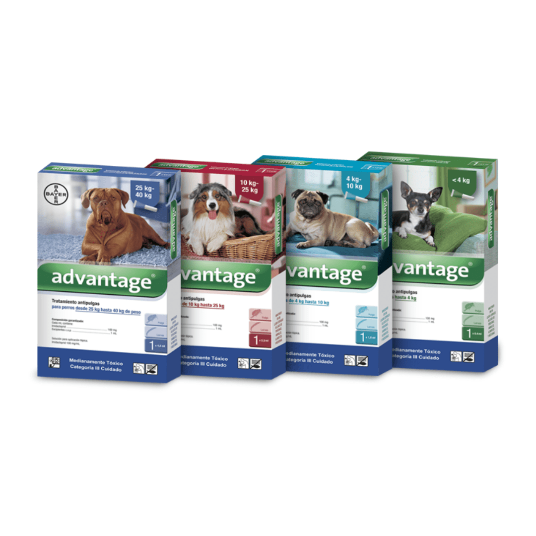 Advantage-Para-Perros-2021.png Advantage Para Perros - Image 1