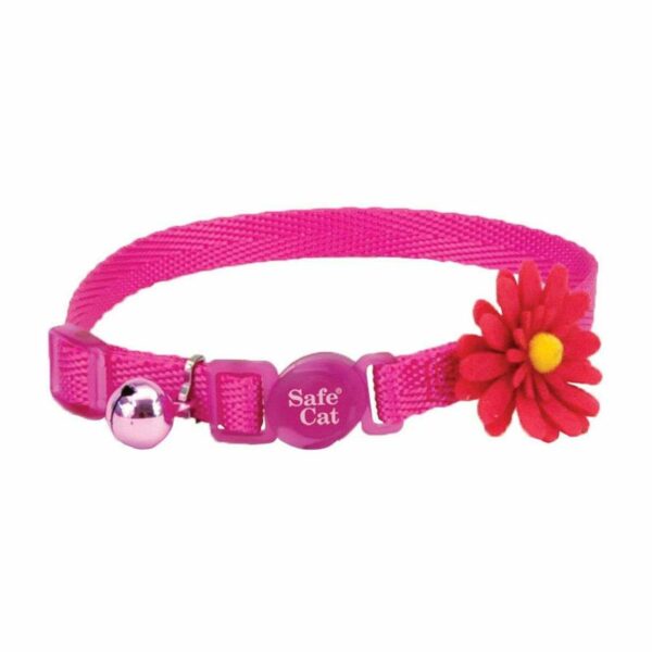 Collar Coastal Gato Adornos - Image 2