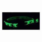 Collar Coastal Gato Glow Reflectivo - Image 3