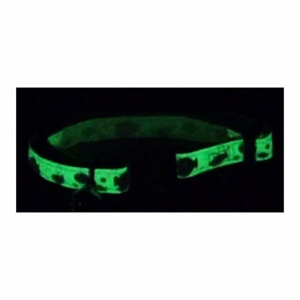Collar Coastal Gato Glow Reflectivo - Image 3