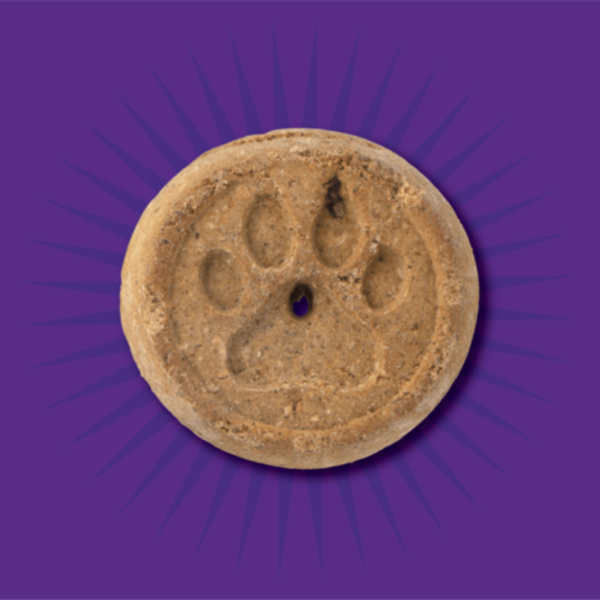 Evolve Perro Snack Grain Free Galletas De Mantequilla De Mani - Image 2