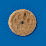 Evolve Perro Snack Grain Free Galletas De Pollo - Image 2