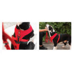 Kong Arnes Comfort Perro Negro - Image 2