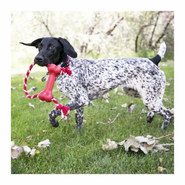 Kong Goodie Bone Classic - Image 3