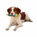 Petstages Cool Teething Stick - Image 2