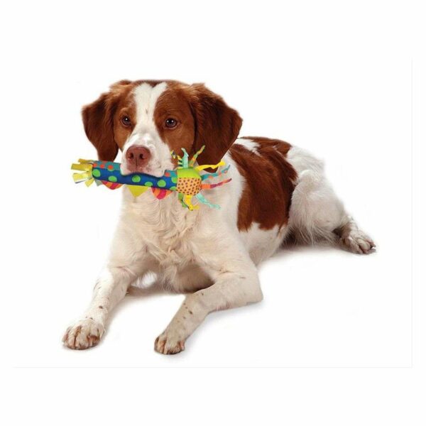 Petstages Cool Teething Stick - Image 2