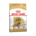 Royal Canin Golden Retriever Adulto