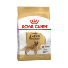 Royal Canin Golden Retriever Adulto