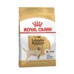 Royal Canin Labrador Retriever Adult