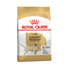 Royal Canin Labrador Retriever Adult