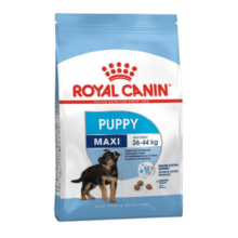 Concentrado Royal Canin Maxi Puppy