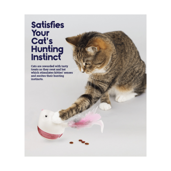 Rompecabezas Nina Ottosson Gato Hunt'N Swat Treat Nivel 1 - Image 3