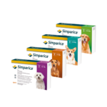 Simparica Externo Perro