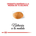 Royal Canin Perro Adulto Dalmata - Image 2