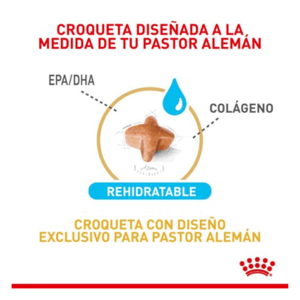 Royal Canin Perro Adulto Pastor Aleman 5+ - Image 2