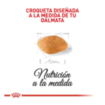 Royal Canin Puppy Dalmata - Image 2