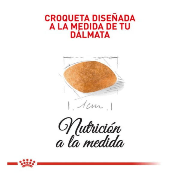 Royal Canin Puppy Dalmata - Image 2