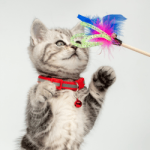 Juguetes para Gatos