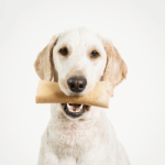 Snacks y Galletas para perros